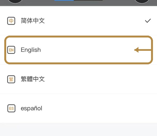 Choose the required menu language